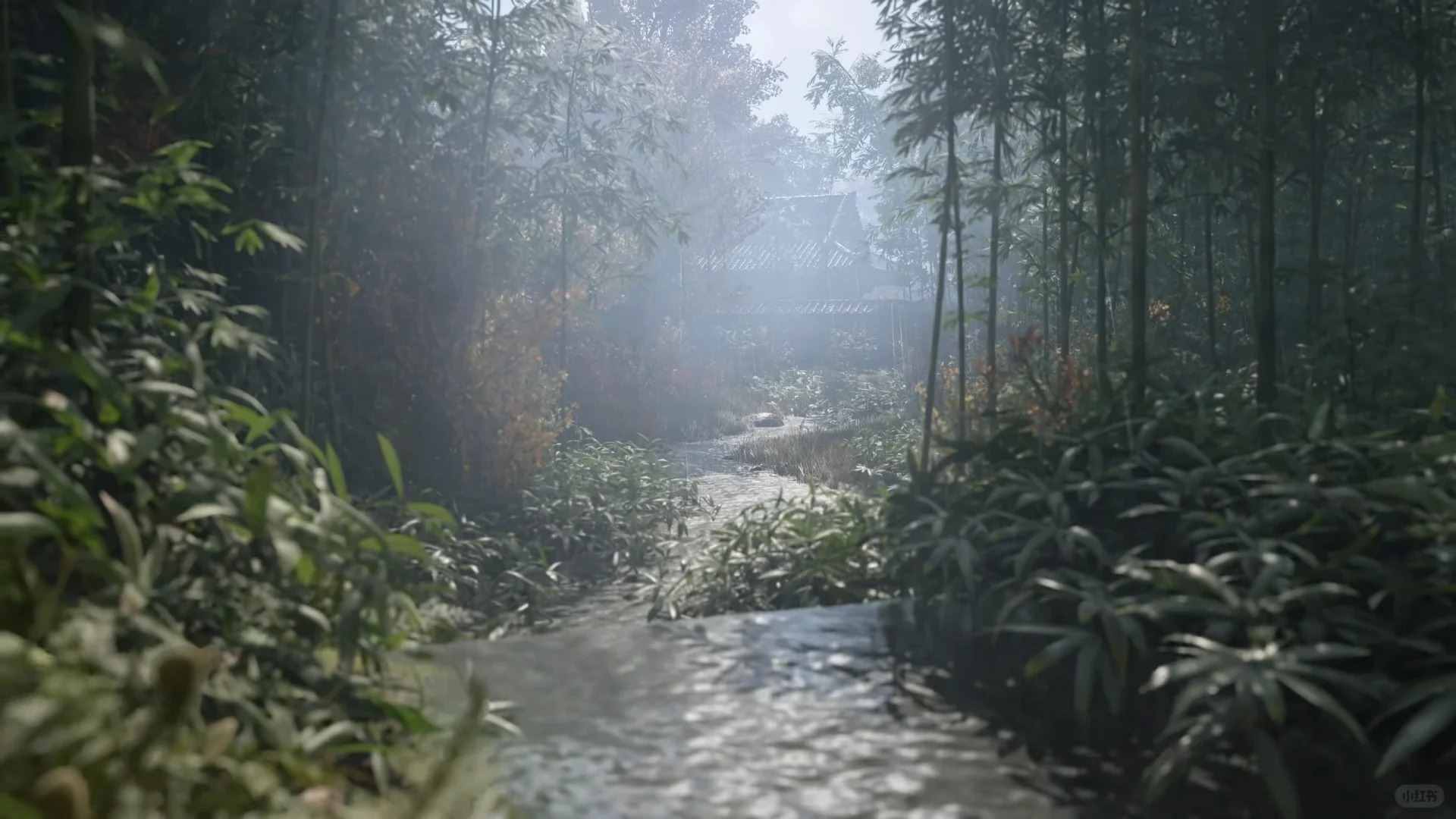 07.jpg